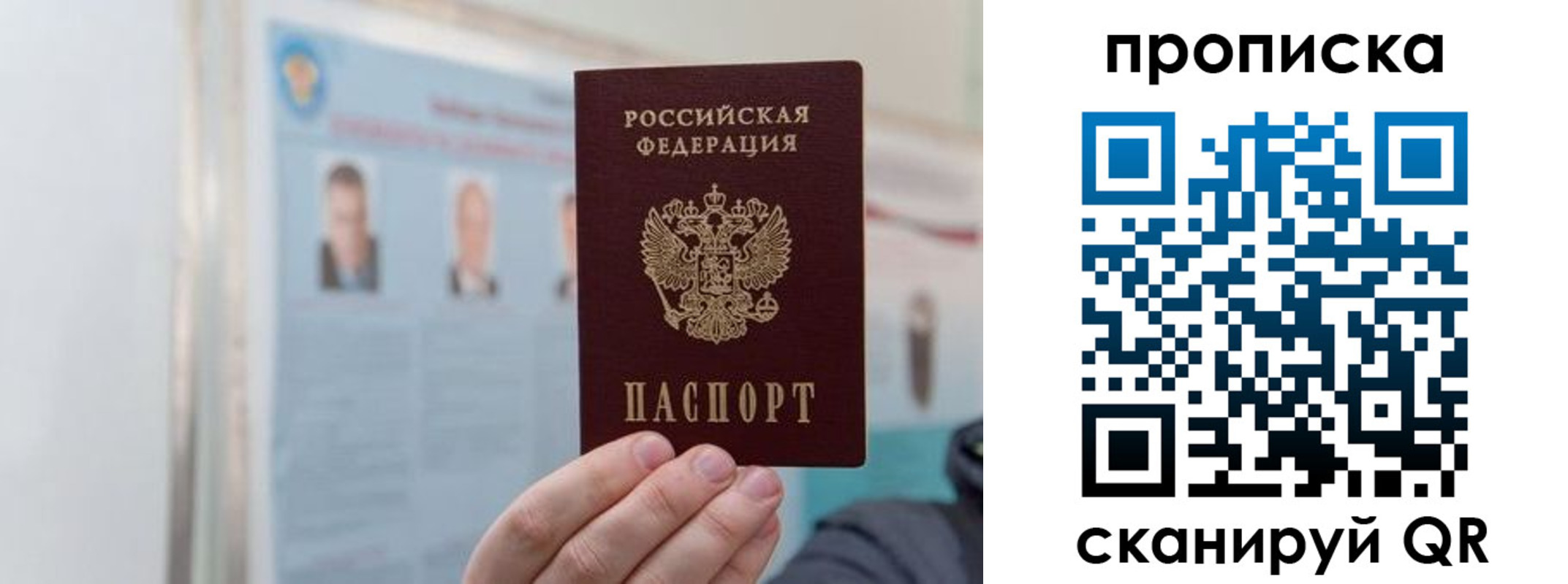 прописка 2025 в Ермолино